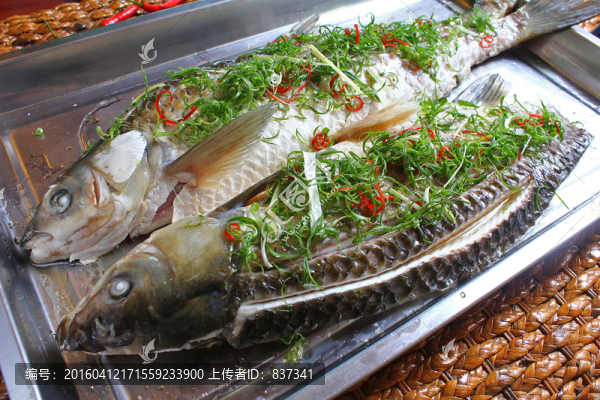 鯇魚