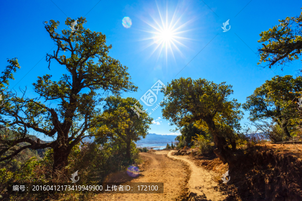 拉市海濕地自然保護(hù)區(qū)