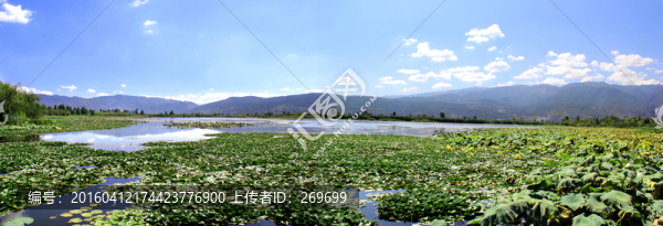 濕地公園