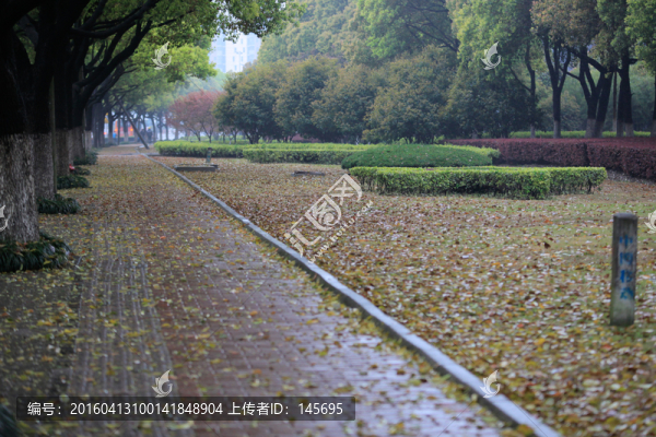 人行道