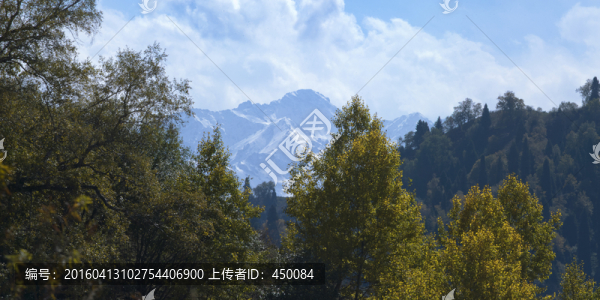 天山林場(chǎng)