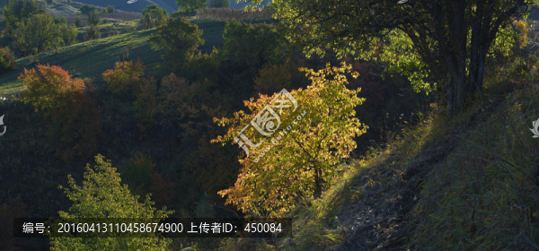 秋色