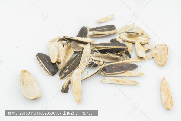 瓜子皮