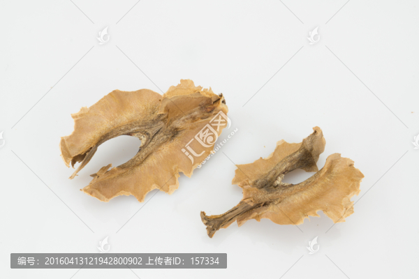 分心木,核桃藥材