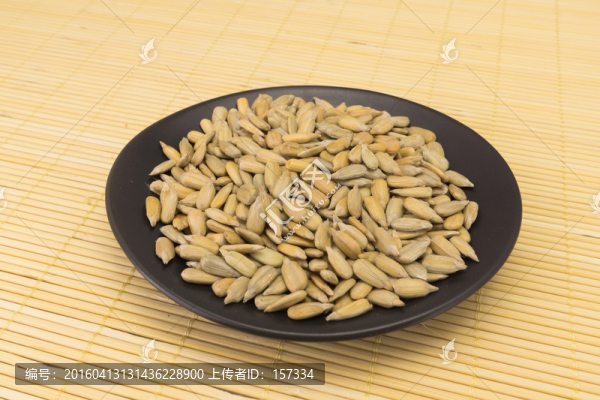 瓜子仁