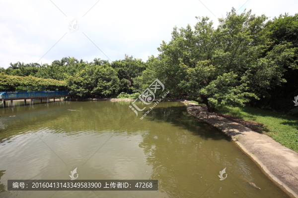 廣州鱷魚公園