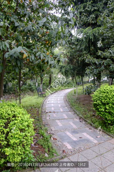 高校校園