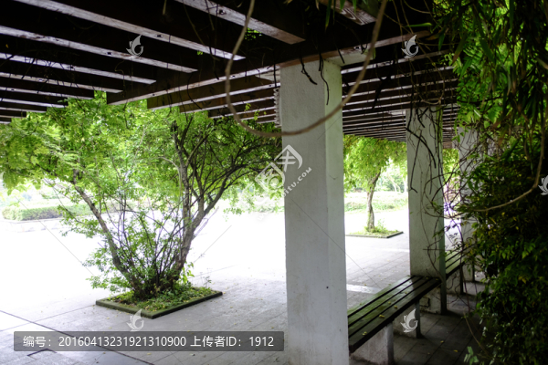 校園