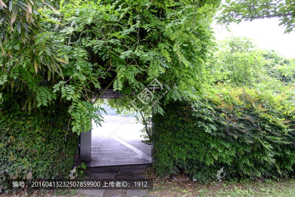 校園里的小路