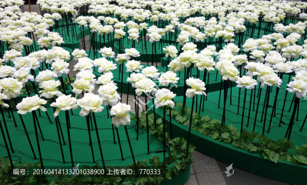 花,背景,白花,仿真花