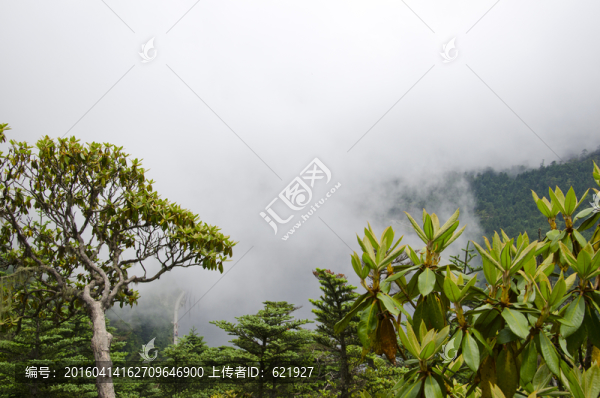 四川螺髻山