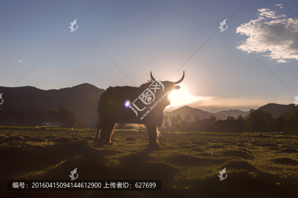 新都橋風光