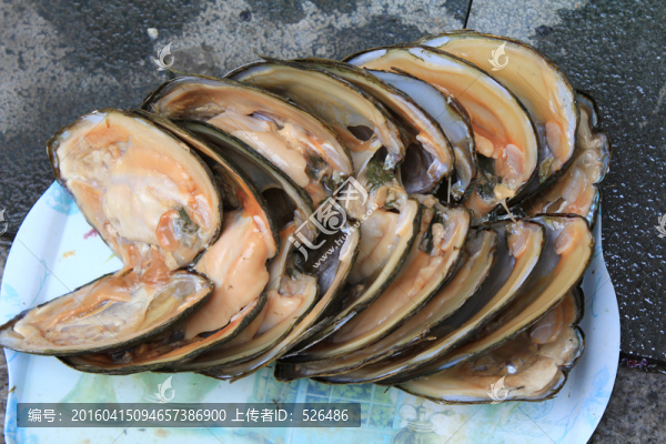 珍珠蚌