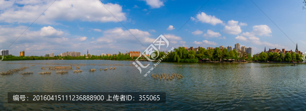 南湖公園