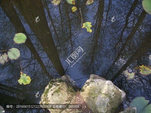 植物園風景