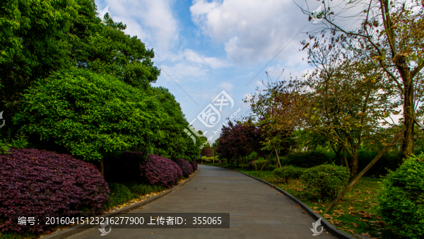 南湖公園
