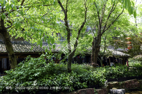 古鎮(zhèn)