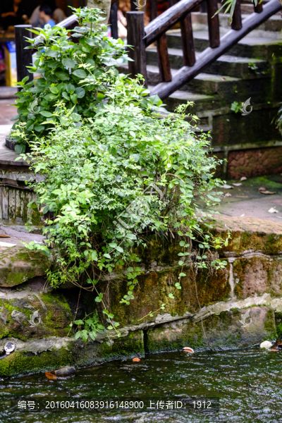 古鎮(zhèn)