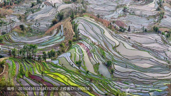 梯田