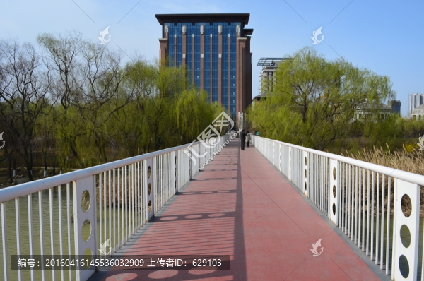 灞河新景