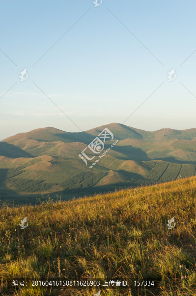 山