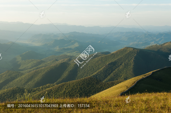 山野