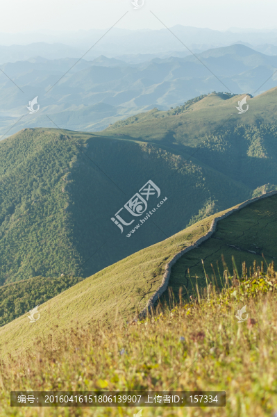 山田