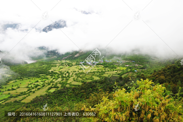 雅魯藏布大峽谷