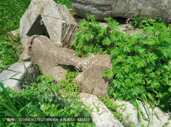 石文化