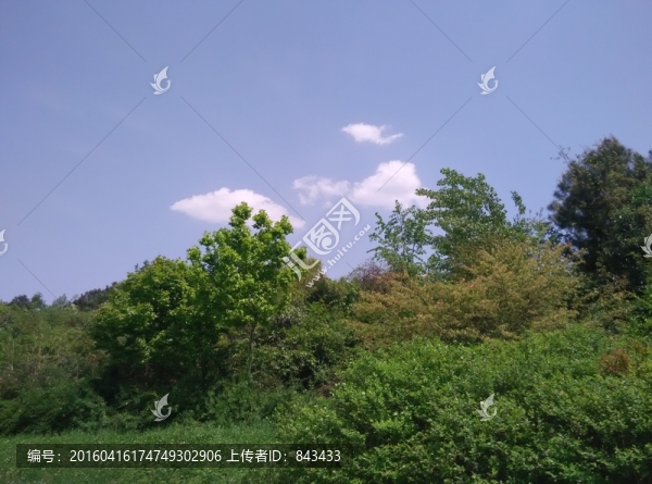 風景