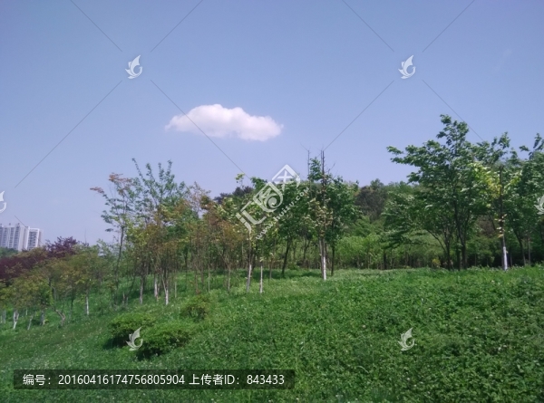 風(fēng)景