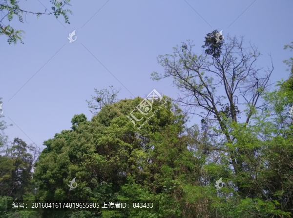 風景