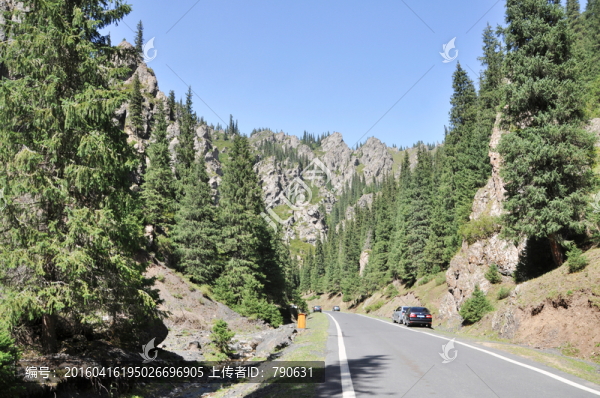通往山林的公路