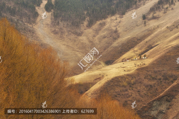 新都橋風(fēng)光