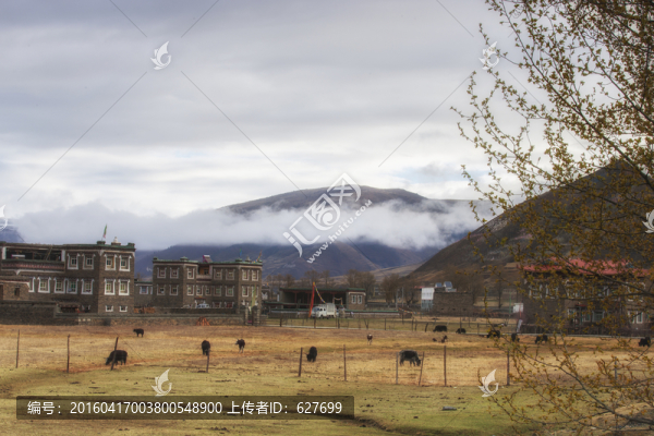 新都橋風(fēng)光
