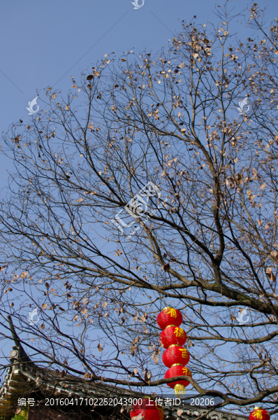 天香園,園林風(fēng)光,南昌旅游