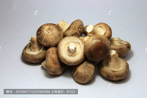 香菇