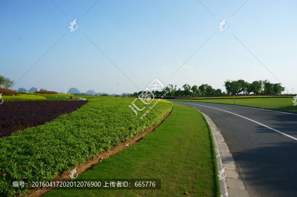 城市道路
