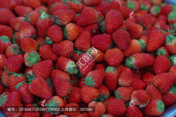 草莓