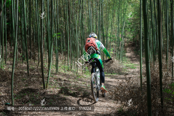 竹林騎行