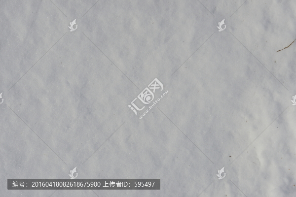 雪地