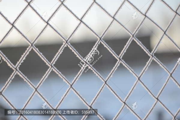 鐵絲網(wǎng),霜