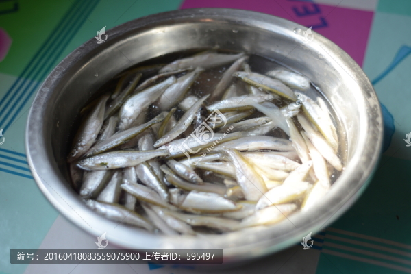 小魚