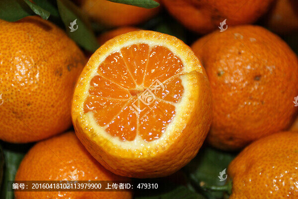 桔子,紅美人,橘子,水果,素材