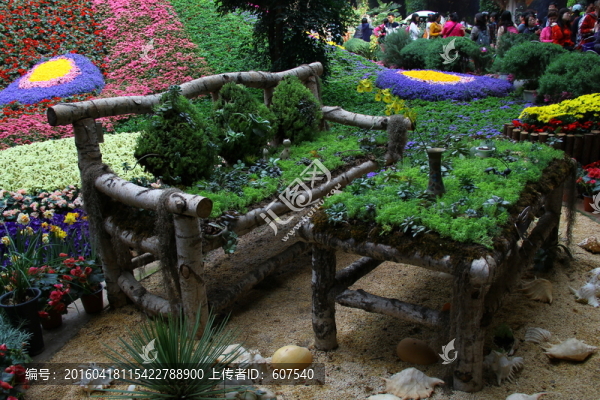 夢幻森林,動(dòng)物王國,植物王國