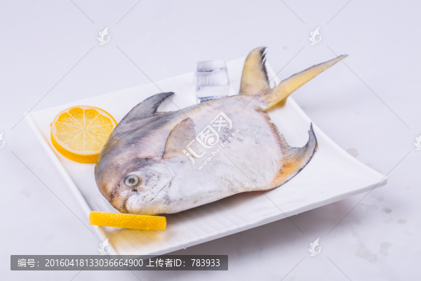 太平洋白鯧
