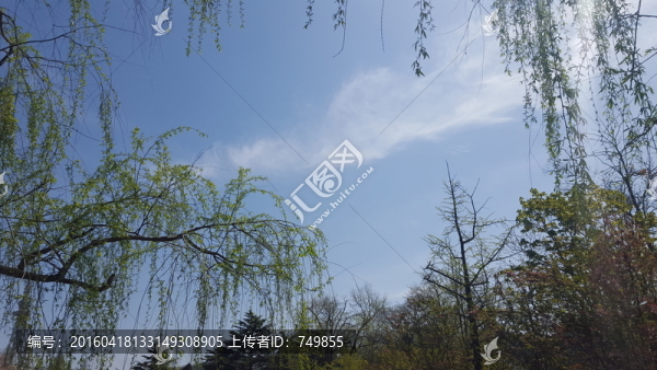 天空