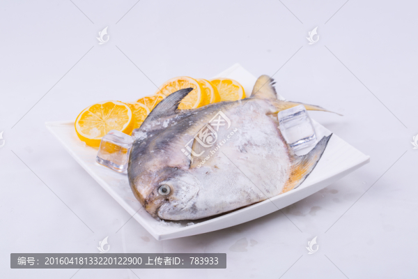 太平洋白鯧