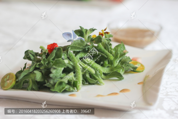 青檸非洲冰草