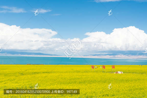 青海湖